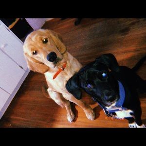 Meet your Posher, Kate